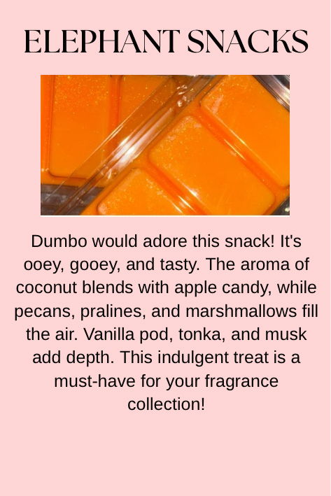 Food & Drink Inspired Wax Melts