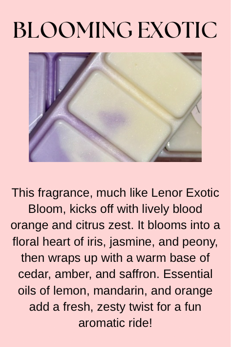 Cleaning & Laundry Inspired Wax Melts