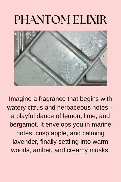 Perfume, Aftershave & Cosmetic Inspired Wax Melts