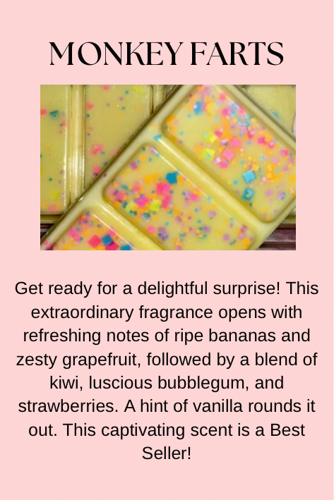 Food & Drink Inspired Wax Melts