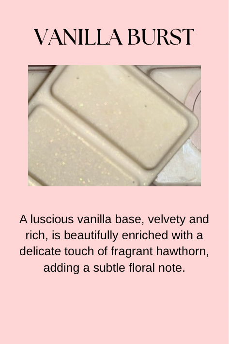Family Favourites Inspired Wax Melts