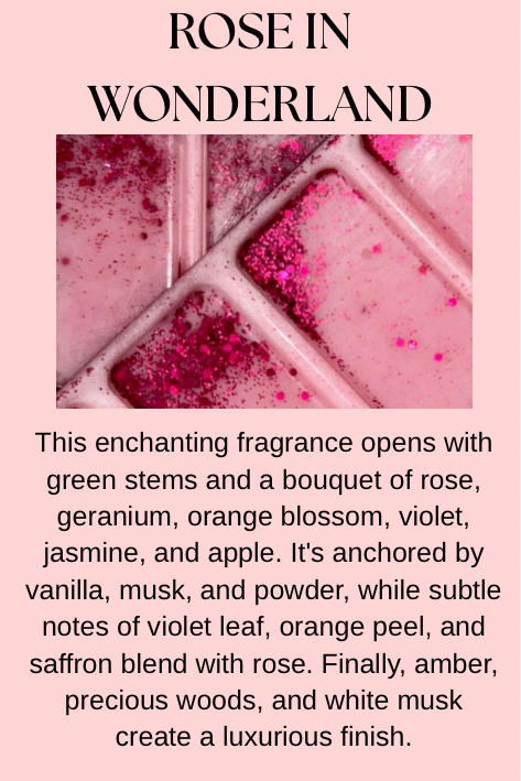 Cleaning & Laundry Inspired Wax Melts
