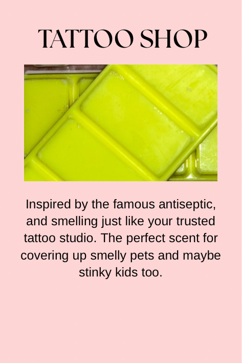 Cleaning & Laundry Inspired Wax Melts