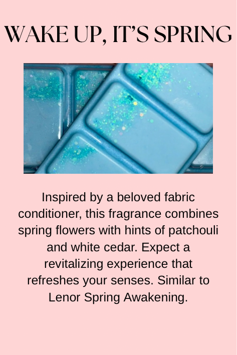 Cleaning & Laundry Inspired Wax Melts