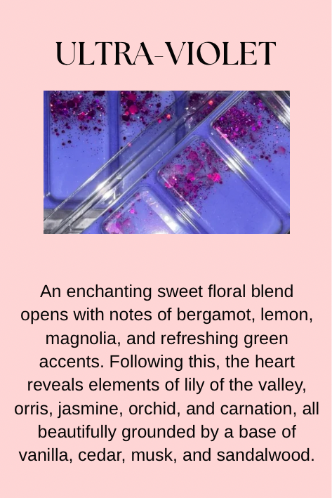 Perfume, Aftershave & Cosmetic Inspired Wax Melts
