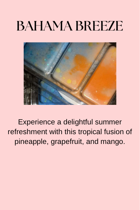 Food & Drink Inspired Wax Melts