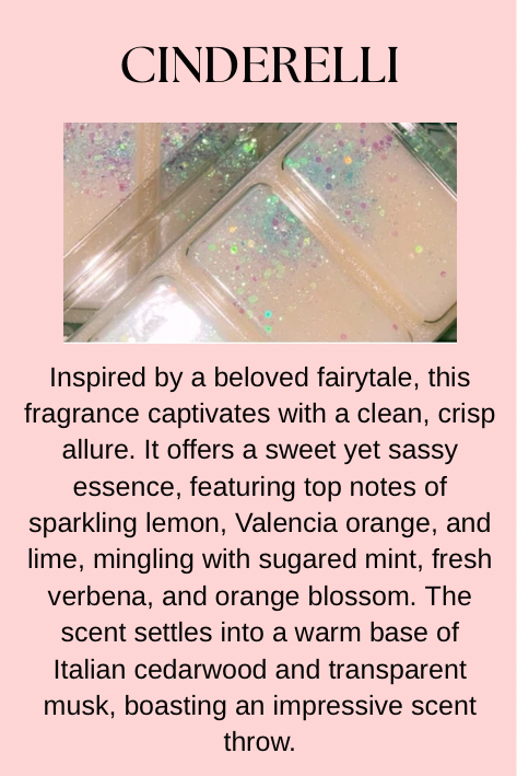 TV & Film Inspired Wax Melts