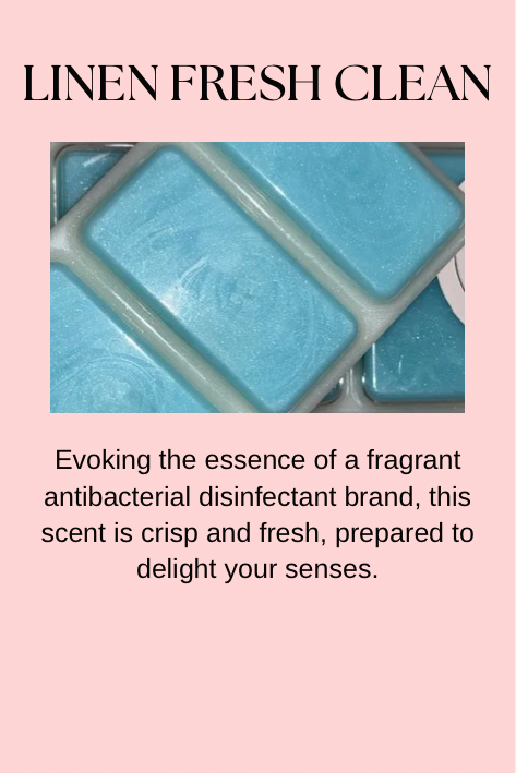 Cleaning & Laundry Inspired Wax Melts