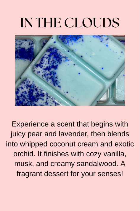 Perfume, Aftershave & Cosmetic Inspired Wax Melts
