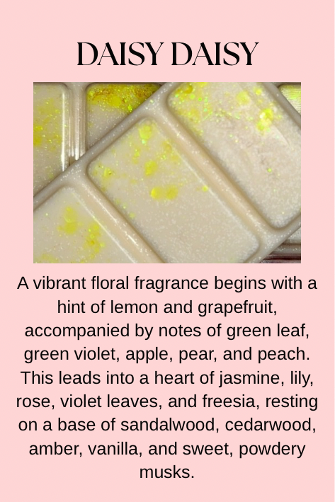 Perfume, Aftershave & Cosmetic Inspired Wax Melts