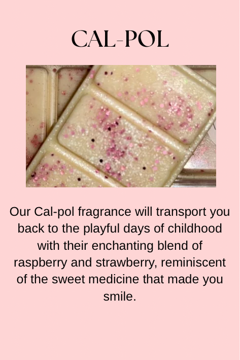 Family Favourites Inspired Wax Melts